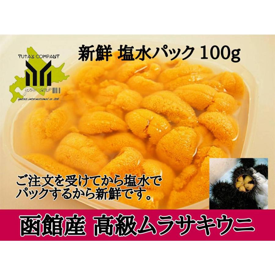 北海道　函館産　高級　キタムラサキウニ塩水パック　100g 1パック