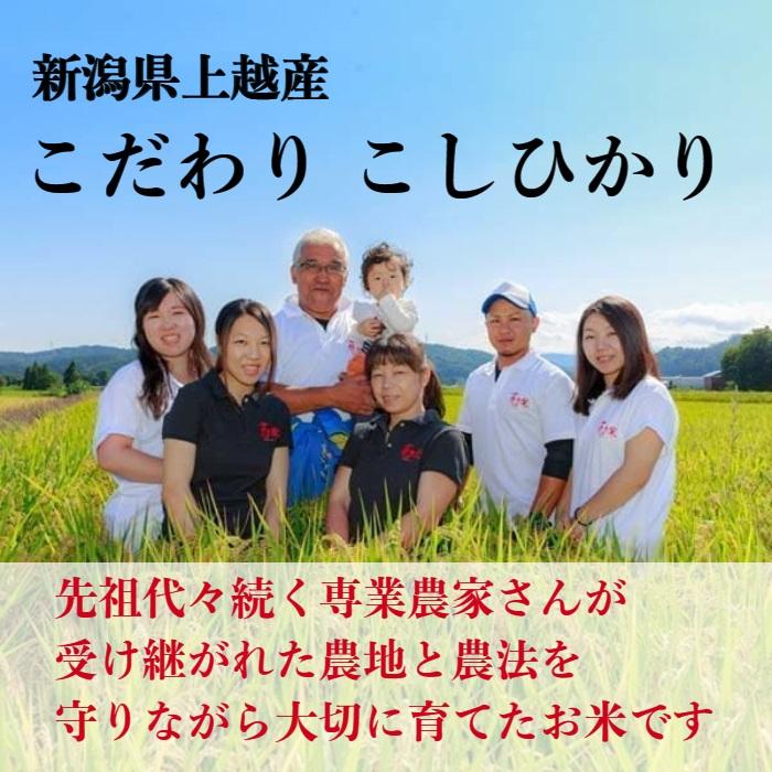 令和５年産　新潟県上越産　特別栽培米　こだわりこしひかり　精米３kg入　