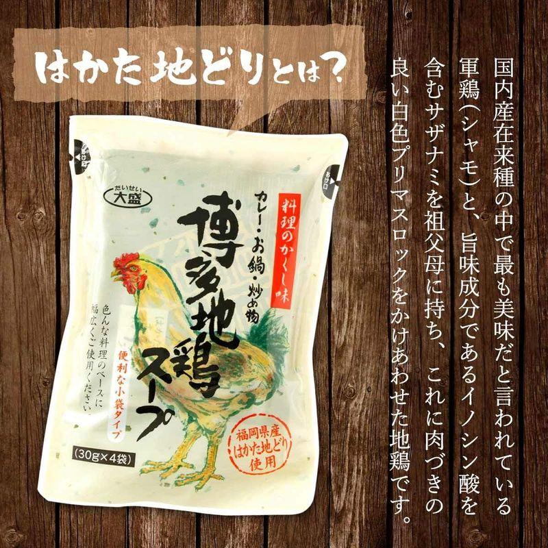 大盛食品 博多 地鶏 スープ 120g(30g×4袋)