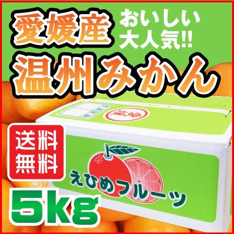 温州 みかん 5kg 愛媛県産 規格外 訳あり 安い 自宅用 (M2)