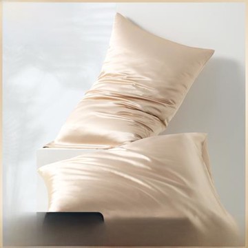 嘉絲麗真絲枕套一對裝22姆桑蠶絲絲綢枕套厚純色枕頭套單人48x74