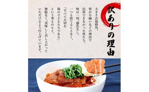 これが魚屋の漬け丼だ！～マグロ～ 《訳あり》 ８０ｇ×１０P まぐろ マグロ 鮪 漬け丼 漬け どんぶり 丼 10パック 海鮮 魚 真空パック 個食 個包装 冷凍 配送 訳あり 規格外 不揃い