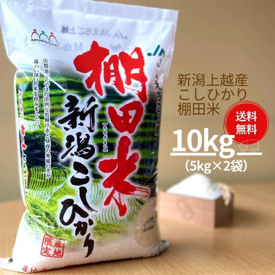 新米 米 お米 10kg コシヒカリ こしひかり 新潟 上越産 棚田米 5kg×2袋 本州送料無料 令和5年産