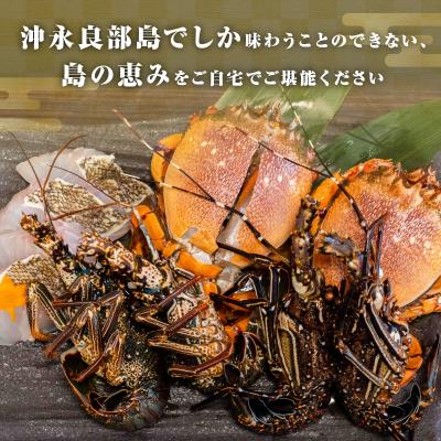 ふるさと納税 和泊町 沖永良部島直送!素潜り漁師オススメの天然島魚 海鮮鍋セット4.2キロ(6〜8人前)