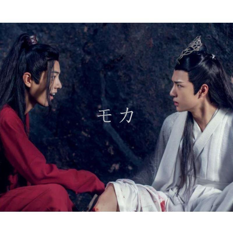 陳情令 DVD 50集 日本語字幕増収ost 肖戰 王一博