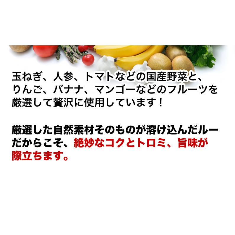 極旨牛すじカレー 10食 九州産黒毛和牛 A等級牛すじ使用 本格カレールー 自然素材 独自ブレンド 湯煎 簡単調理 時短 送料無料 常温便