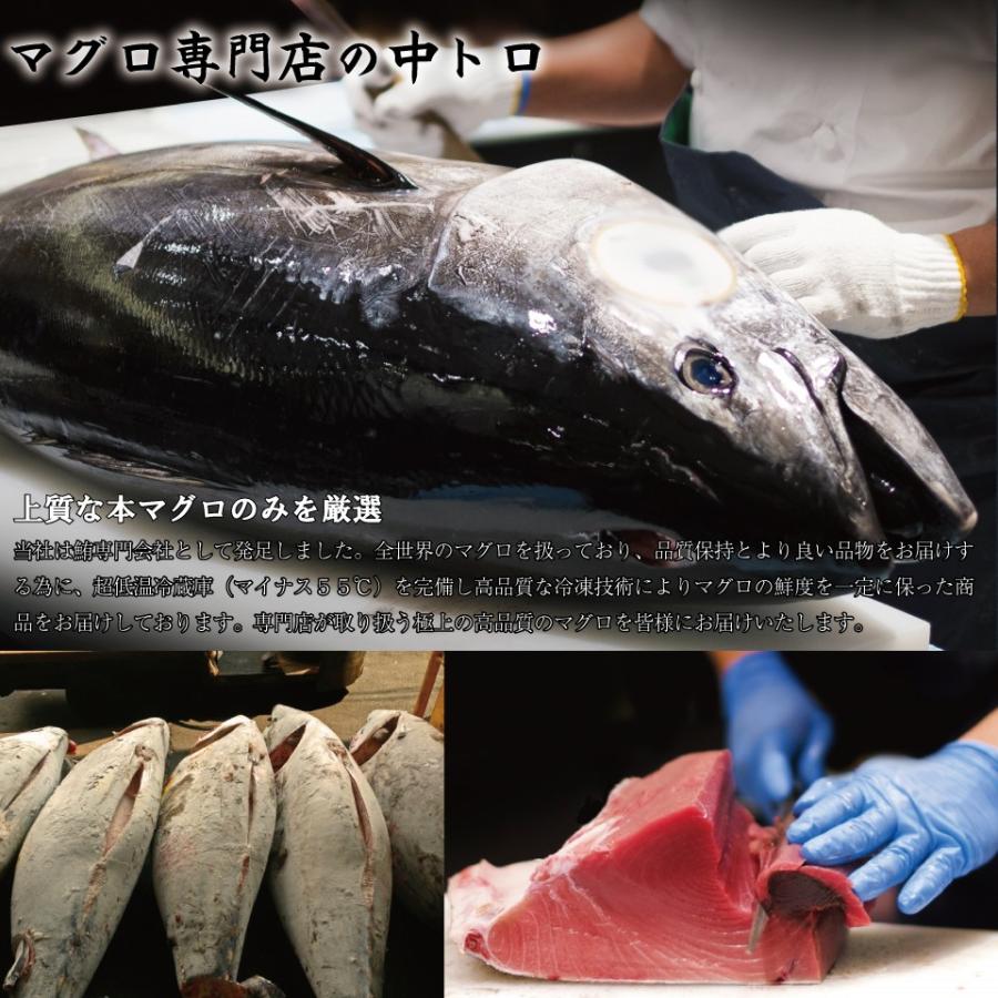 本マグロ マグロ中トロ 刺身 約230g (2〜3人前) 本まぐろ 中トロ 生食用 サク マグロ刺身 トロ 特上本鮪