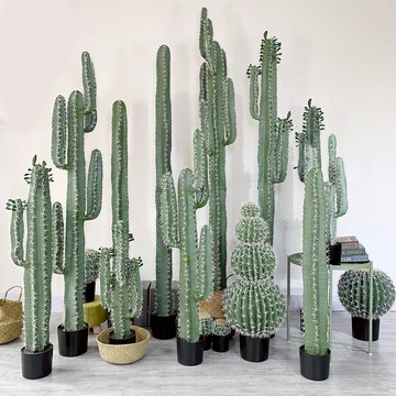 新款仿真大型仙人掌仙人柱室內假綠植裝飾櫥窗造景熱帶沙漠植物