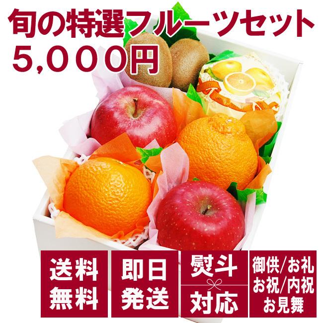 旬の特選フルーツセット 5,000円 お供え 果物 詰め合わせ 盛り合わせ 内祝 御祝 お誕生日 お見舞い 御礼 法事 法要 父の日