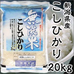 米 日本米 令和4年度産 新潟県産 コシヒカリ BG精米製法 無洗米 20kg