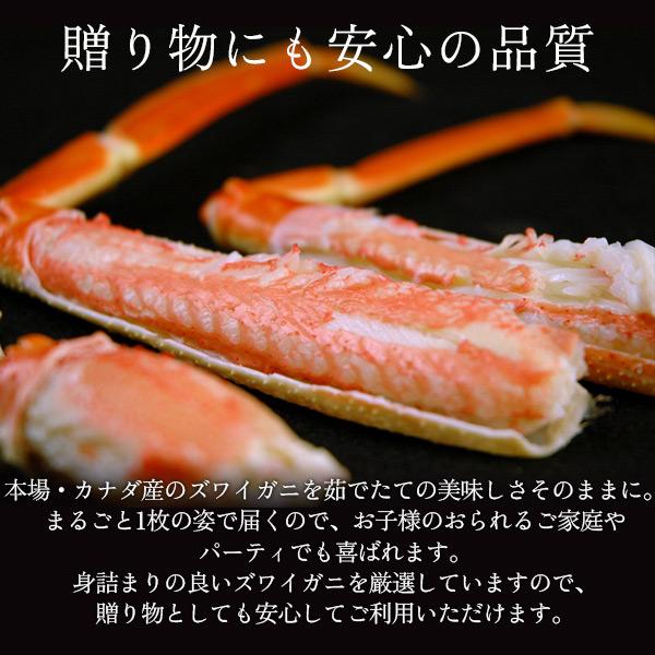 お歳暮 ギフト ボイルズワイガニ姿3kg（600g前後×5枚セット） かに カニ 蟹 送料無料（北海道・沖縄を除く）