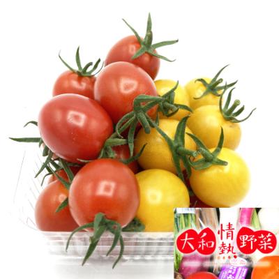 ふるさと納税 広陵町 大和情熱野菜の玉手箱