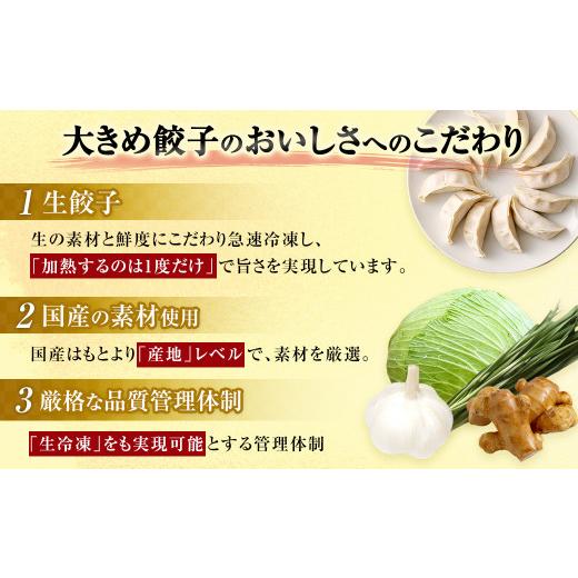 ふるさと納税 福岡県 遠賀町 夕焼け明太子1kg＆大きめ餃子100個 合計3kg