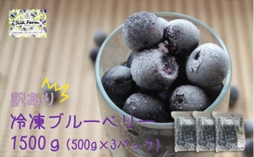 シルクファーム産　冷凍ブルーベリー1500g（500g×3パック）