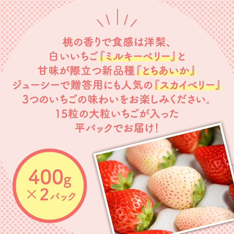 満足3種食べ比べセット（ミルキーベリー、スカイベリー、とちあいか）400g×2パック　800g ※2024年2月下旬～5月下旬頃に順次発送予定 ※着日指定不可