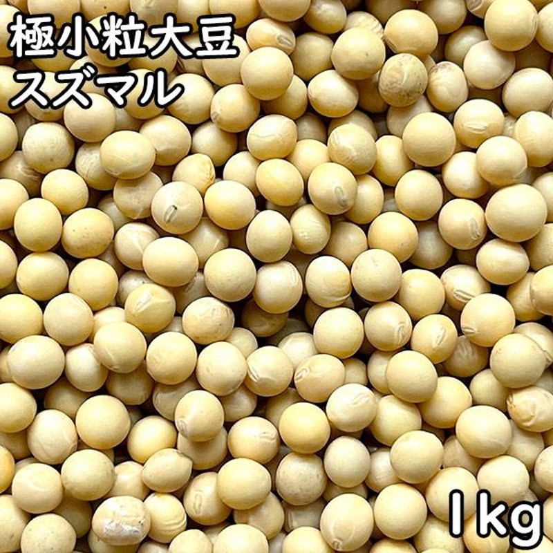 (1kg)　【メール便対応】　北海道産　LINEショッピング　極小粒大豆　スズマル