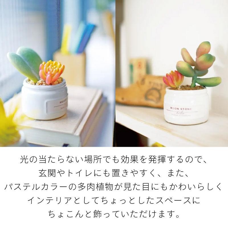 CT触媒 フェイクグリーン 造花 多肉植物 寄せ植え Sサイズ 小さめ