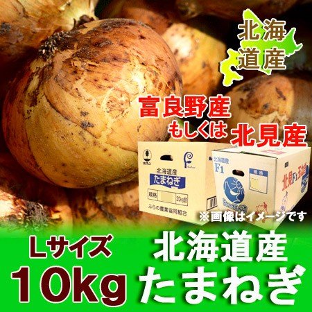 北海道 玉ねぎ 10kg 送料無料 北海道産 たまねぎ 10kg Lサイズ 共撰 北海道 野菜 玉ねぎ   玉葱   タマネギ 北見F1 もしくは 富良野 産