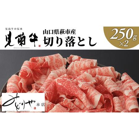 ふるさと納税 山口県萩市産 見蘭牛 切り落とし 500g (250g×2) 山口県萩市