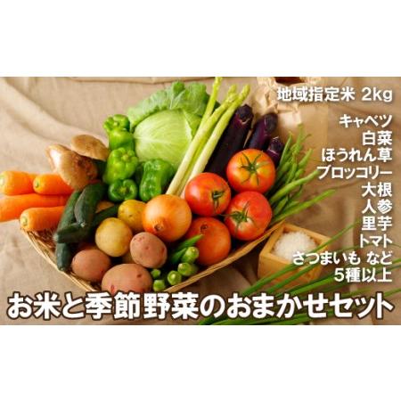 ふるさと納税 お米と季節野菜のおまかせセット 長崎県佐世保市