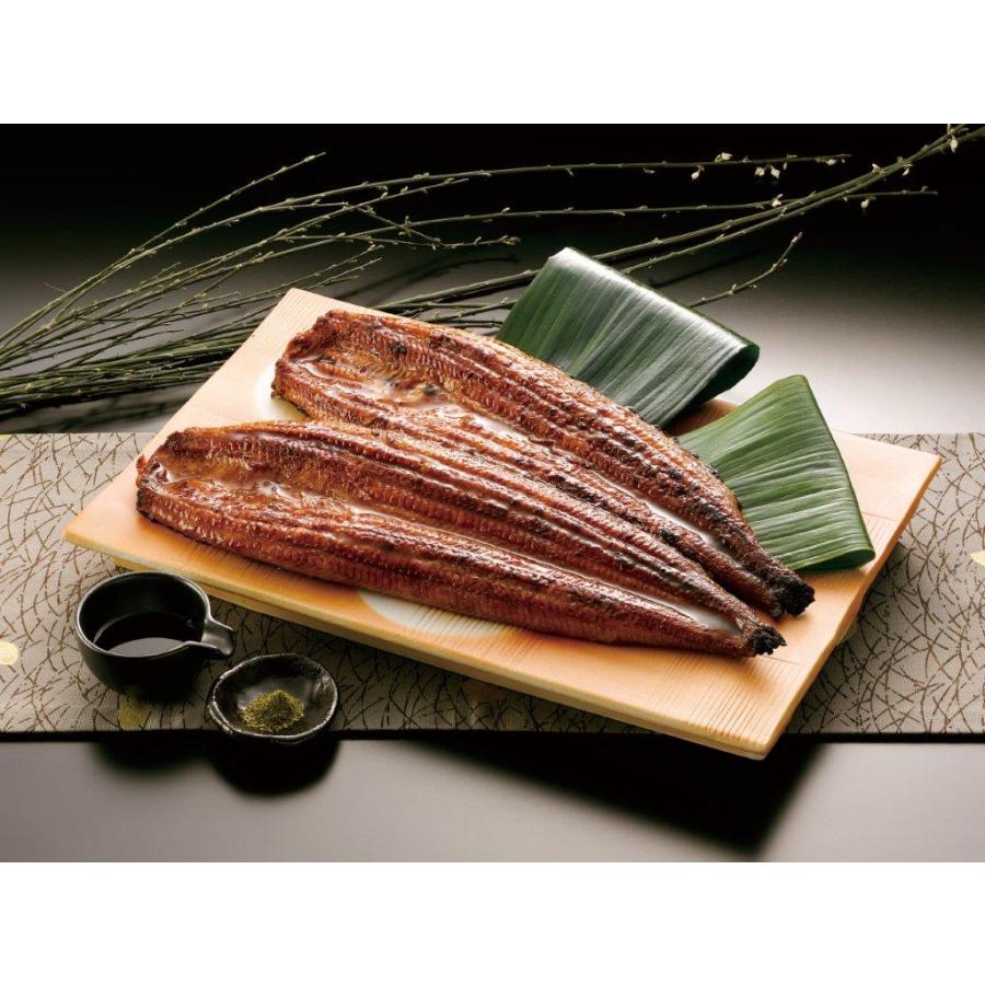 九州産 鰻の蒲焼 ギフト プレゼント ご褒美 贈り物 贈答品 送料無料