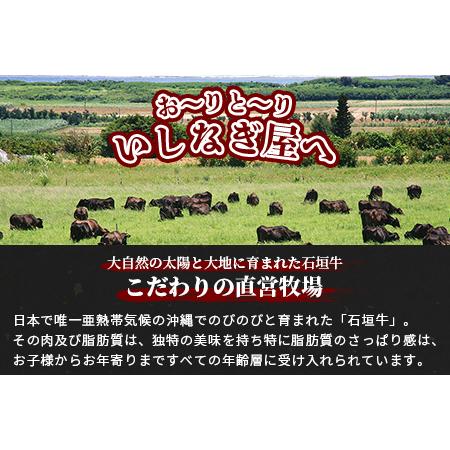 ふるさと納税 AB-18 石垣牛特選サーロインステーキ300g×2枚（いしなぎ屋） 沖縄県石垣市