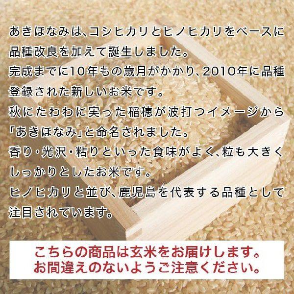 令和5年産 鹿児島県 霧島産あきほなみ 玄米 20kg(10kg×2袋) 送料無料（一部地域を除く）