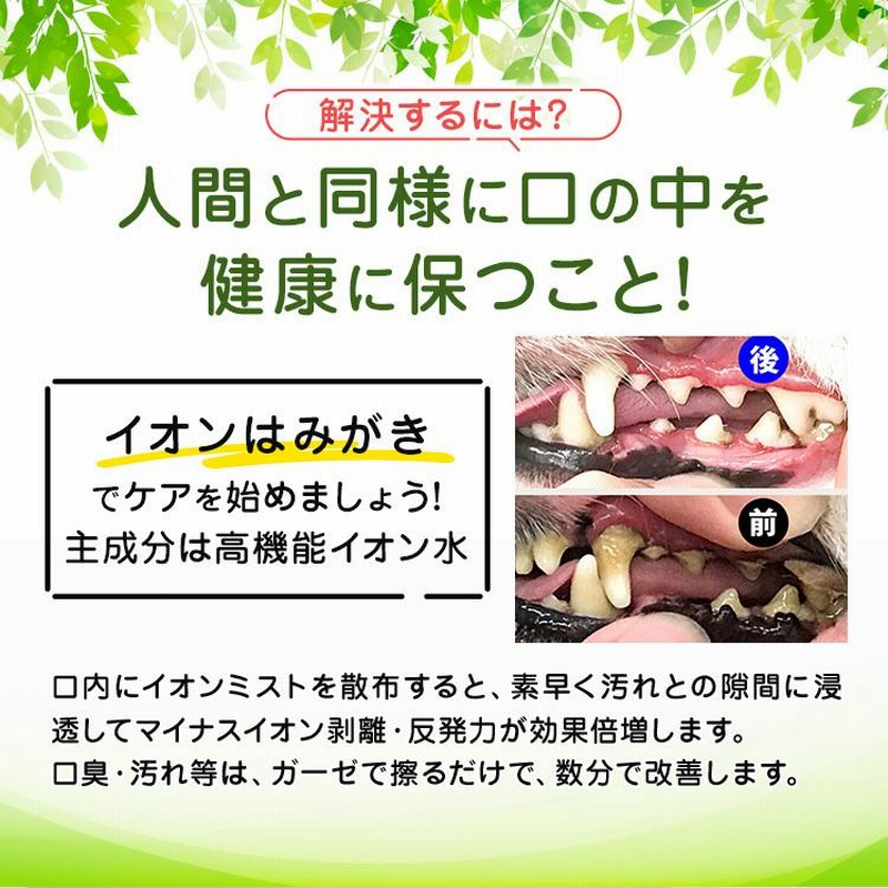 イオンはみがき ゼオテクニックミニ 犬 歯石除去 口臭 犬 デンタルケア トリミングスプレー 静電気防止スプレー 通販  LINEポイント最大0.5%GET LINEショッピング