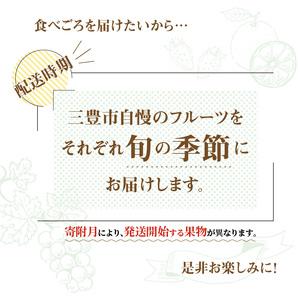 ふるさと納税 産地厳選三豊のフルーツ５回定期便B_M64-0040 香川県三豊市