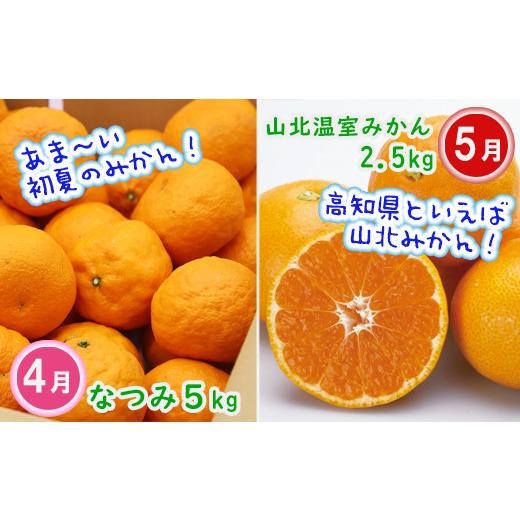 ふるさと納税 高知県 香南市 柑橘お楽しみ定期便4回コース 4回配送 果物 フルーツ のし対応不可 年末年始限定 Wku-0036