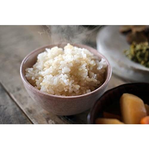 2023年新潟県産コシヒカリ玄米(真空パック)５kg×4＝20kg