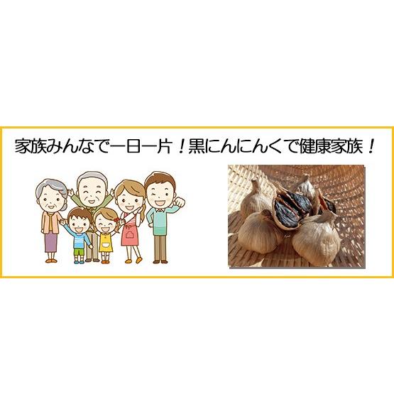 黒にんにく 青森 お試し  6日間分 極黒 熟成黒ニンニク ポイント消化 送料無 メール便