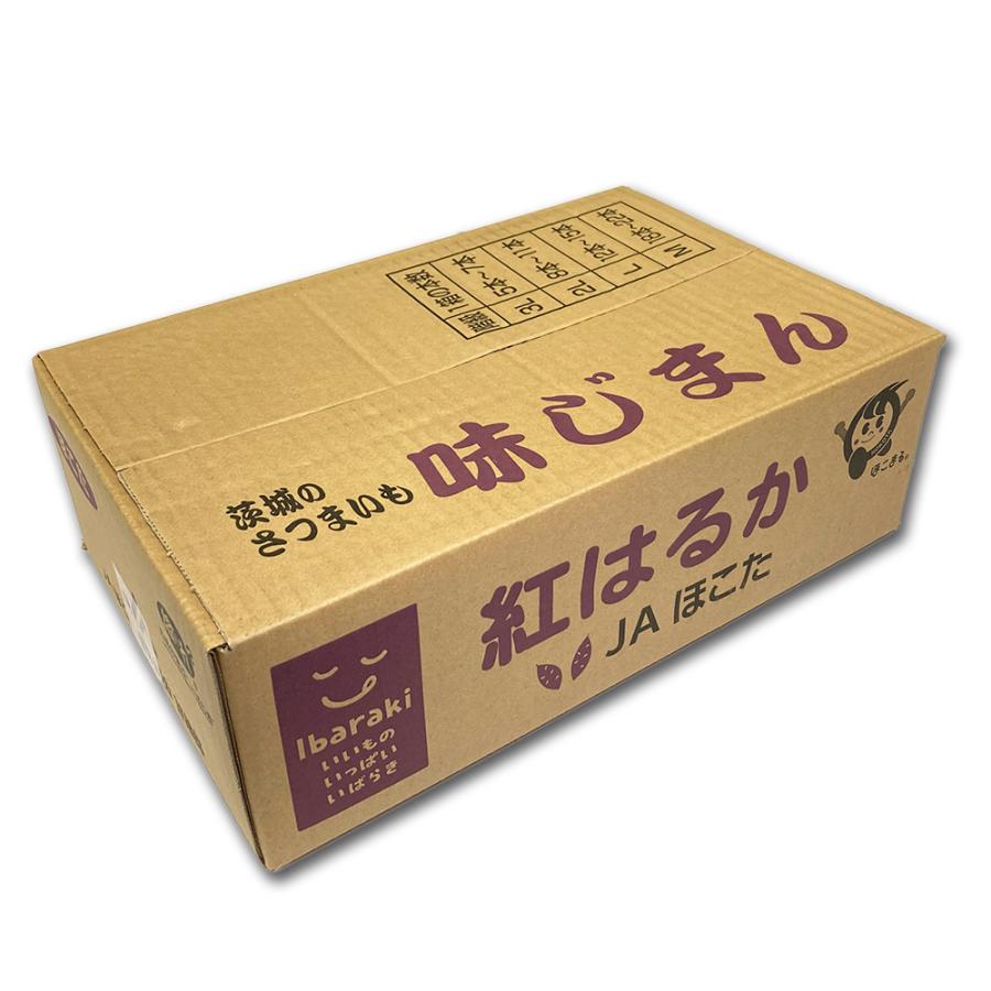 新物  紅はるか 甘いさつまいも 茨城県産 約5kg Mサイズ 約18〜22本 丸進青果セレクト 丸進青果 さつまいも さつま芋 芋 スイートポテト 紅はるか