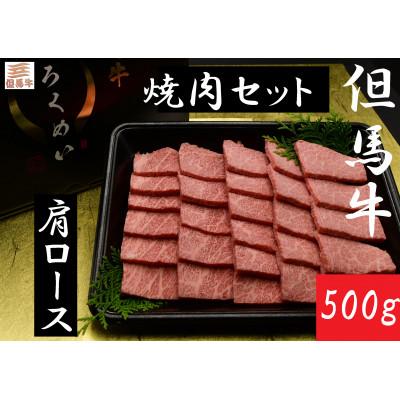 ふるさと納税 養父市 但馬牛焼肉セット 500g