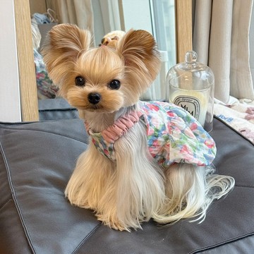 寵物衣服 狗狗衣服 貓咪衣服 寵物服碎花吊帶南瓜裙泰迪狗約克夏馬爾濟斯透氣背心裙小型犬衣服 田螺精選
