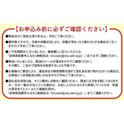 ふるさと納税 宮崎県 西都市 最高級ブランド『太陽のタマゴ』3Lサイズ2個または、2Lサイズ3個宮崎県西都市産完熟マンゴー【先行予約 令和6年…