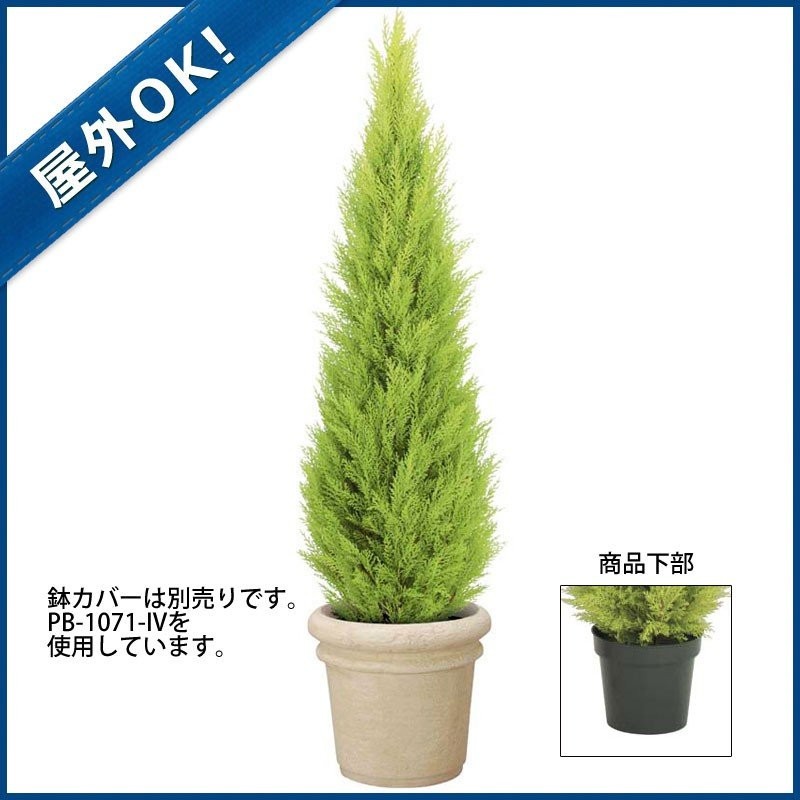 光触媒　人工観葉植物　ウォールグリーン　フェイクグリーン　ゴールドクレスト150