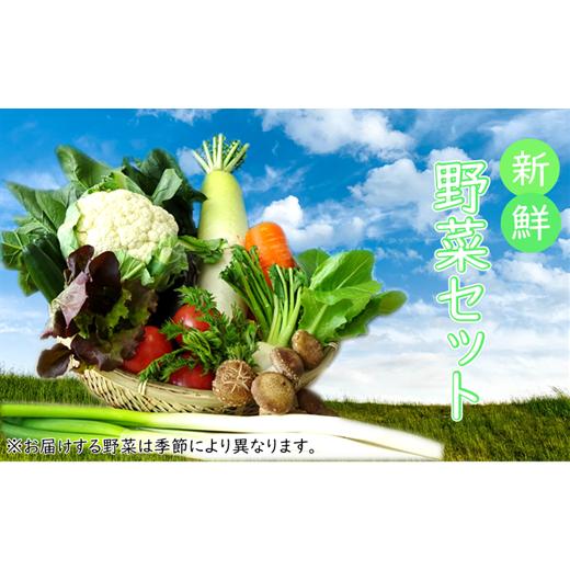 ふるさと納税 岩手県 久慈市 季節の野菜詰め合わせ（おまかせセット）