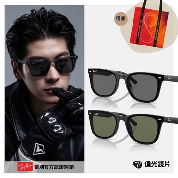 【RayBan 雷朋】膠框偏光太陽眼鏡(RB4391D-601/9A、RB4391D-601/81 65mm 偏光鏡片)