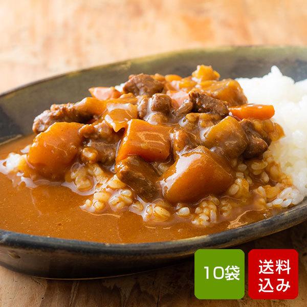 宮崎県産牛100％ ビーフカレー 200g×10食 国産 レトルト カレー 常温保存