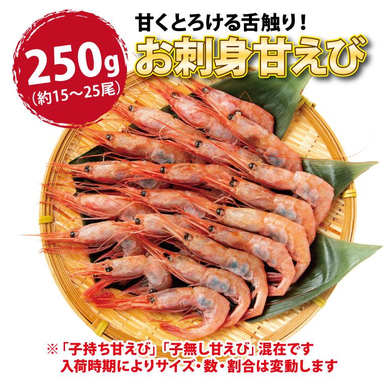 甘エビ 刺身 250g 15-25尾 甘えび 甘海老 あまえび 冷凍 子持ち 子無し サイズ不揃い 福井産 えび 海老 ((冷凍))