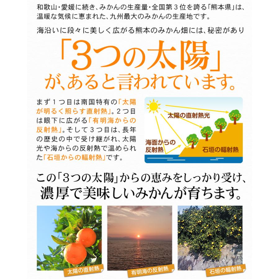 みかん 10kg 熊本産 大特価 みかん ご家庭用 送料無料 食品