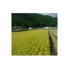 那賀町相生産ヒノヒカリ玄米5kg