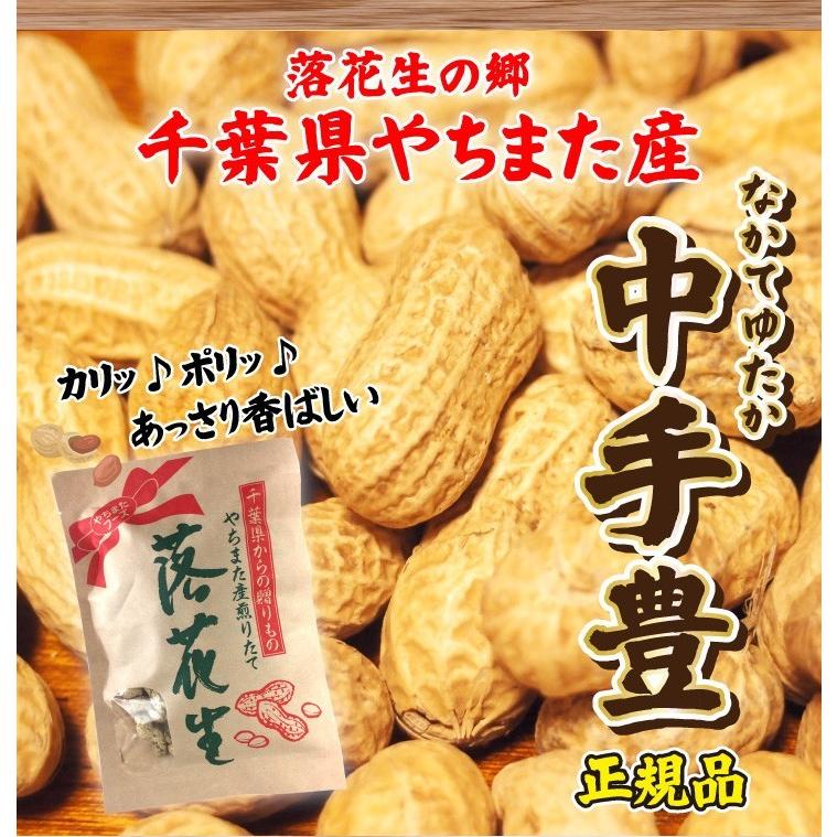 超得クーポン配布中 令和5年新豆スタート 殻付き落花生 千葉県 国産 やちまた産 高級感 クラフト袋 中手豊品種 120g×2袋 贅沢 酒のつまみ 年末年始