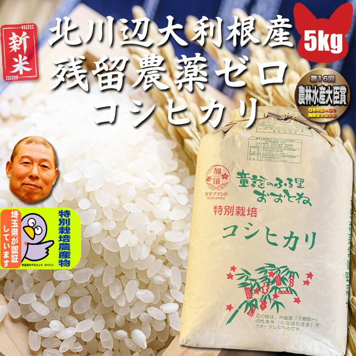 令和5年産 残留農薬ゼロ コシヒカリ 玄米5ｋｇ　埼玉県 北川辺 大利根産 特栽減減　新米