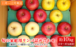 旬の家庭用リンゴ詰め合わせ 約10kg糖度13度以上