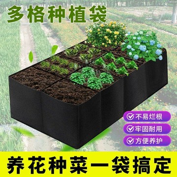 毛氈種植袋 多格種植袋 八口種植袋 育苗床 毛氈多格種植袋 美植袋 苗圃園藝 種植袋 美植袋 多口美植袋 盆栽 JMNP