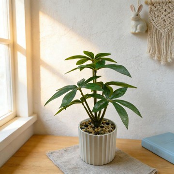 【臺灣出貨】高仿真綠植髮財樹擺件家居飾品客廳書房玄關茶几裝飾06aZ