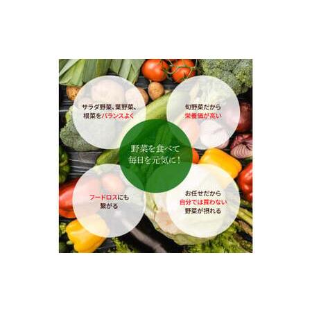 ふるさと納税 野菜セット（7‐9種類）栽培期間中農薬不使用！ 季節の野菜 旬 無農薬 野菜 やさい 新鮮 自然 健康 セット 詰め合わせ 冷蔵 美味し.. 高知県芸西村