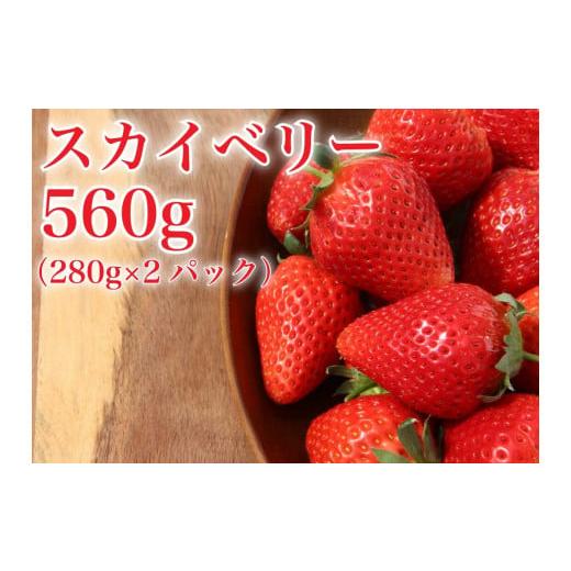 ふるさと納税 栃木県 矢板市 [先行予約] 完熟朝摘み スカイベリー 280g×2パックセット｜ いちご 苺 フルーツ 果物 産地直送 [0409]